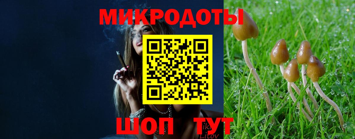 Галлюциногенные грибы Cubensis Котовск