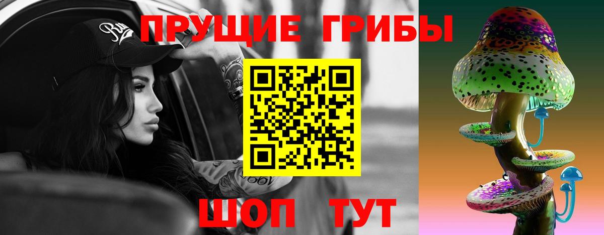 Котовск  Галлюциногенные грибы прущие грибы  Вход с VPN  Галлюциногенные грибы мицелий 